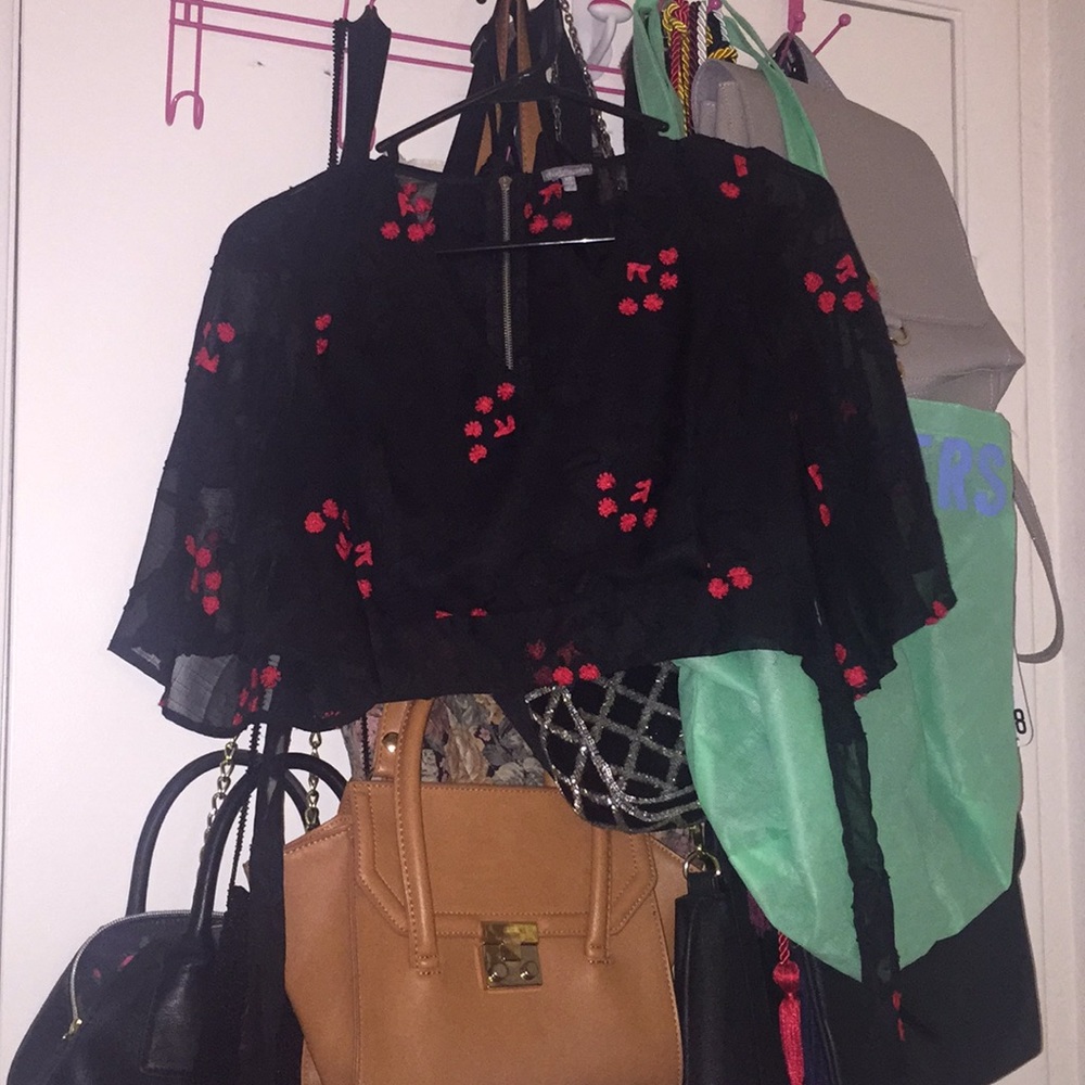 Sheer crop top blouse